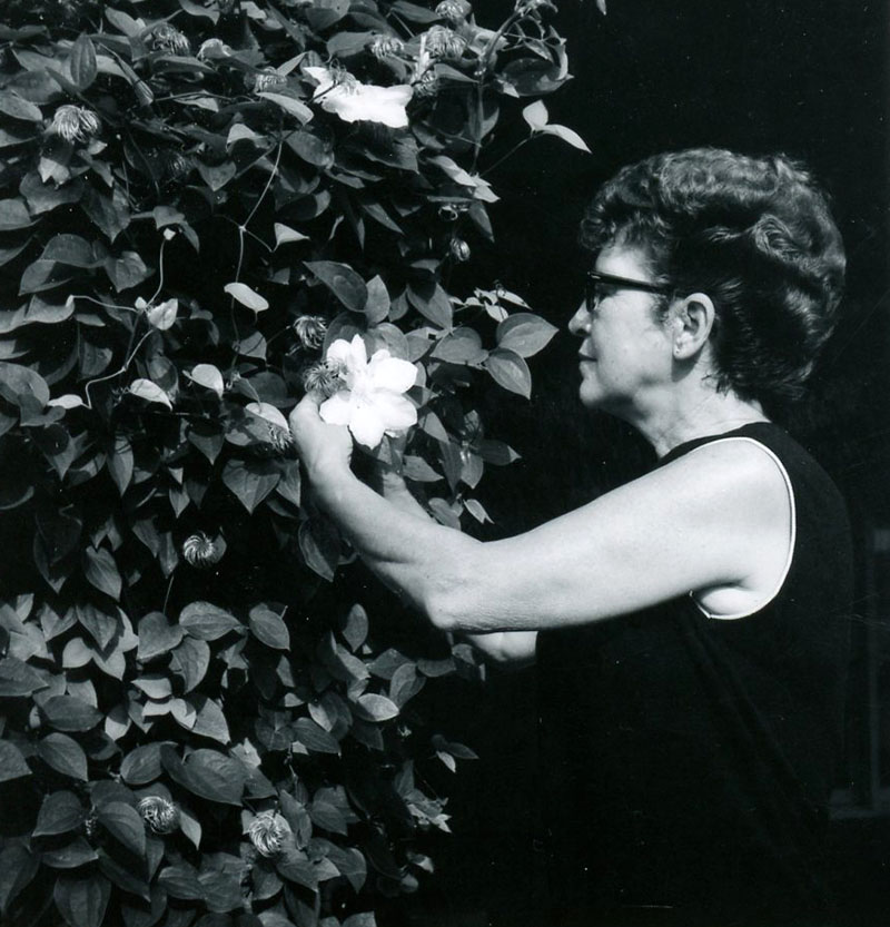 July 24, 1970
Hatterly and Chatlain Farm, Mrs. A R Bowser
Photo ID#: N45