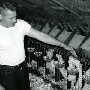 07_24_1970_Joe_Ramsey_mink_farm_near_Lexington_Ohio_website-893