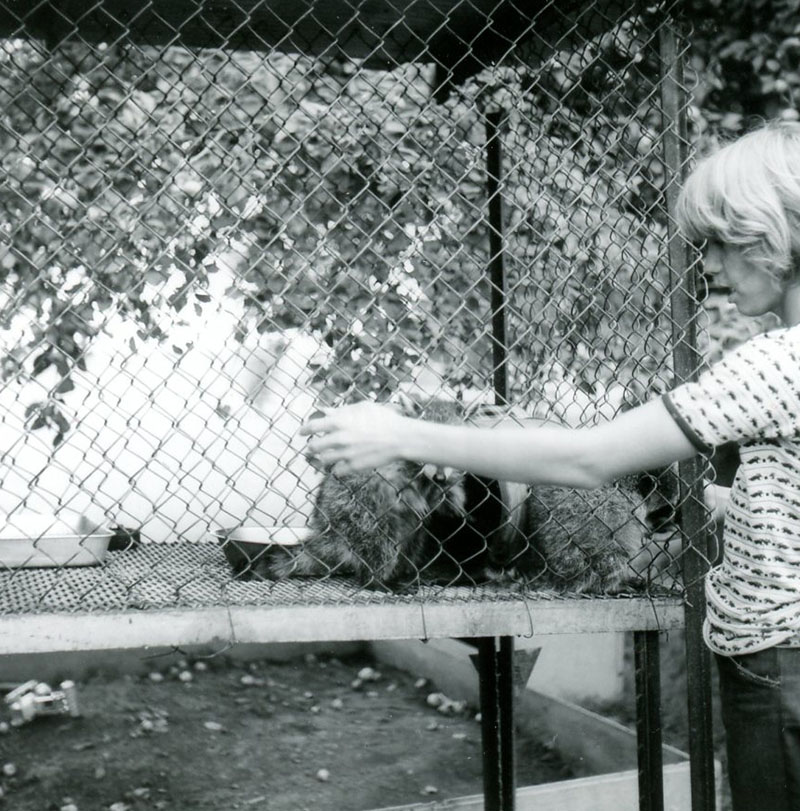 July 27, 1972
J. Scherer Farm
Photo ID#: S656