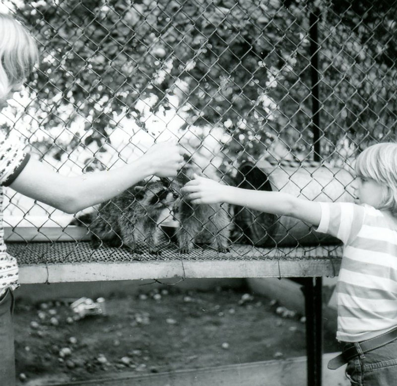 July 27, 1972
J. Scherer Farm
Photo ID#: S657