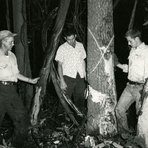 08_01_1963_J.H.Garber_owner_Jack_Basinger_Forester_Paul_Hammond___Eric_Kindig__contractors_Woodland_Improvement_Special_Project_website-3863