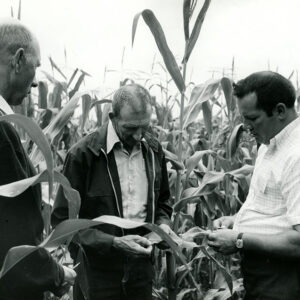 08_03_1971_Ohio_Fed_S.W.C.D._School._Supervisor_Ralph_Winters__John_Winger__Robert_Hall__Marietta_SWCD__observe_local_no_till_corn_website___Copy-1184