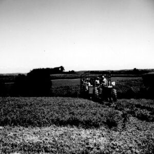 08_03_1976_Spreng_Ayers_No_Til_Tour_Ashland_Summer_Supervisors_School_Tiur_website-3588