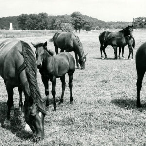 08_10_1965_O.F.S.W.C.D_School__Athens_OH._Bob_Evans_Farm_website-927