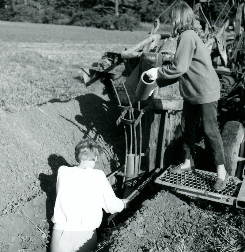 August 11, 1967
Janet (15) and Linda (13) Kreitemeyer; tile drainage installation
Photo ID#: A731