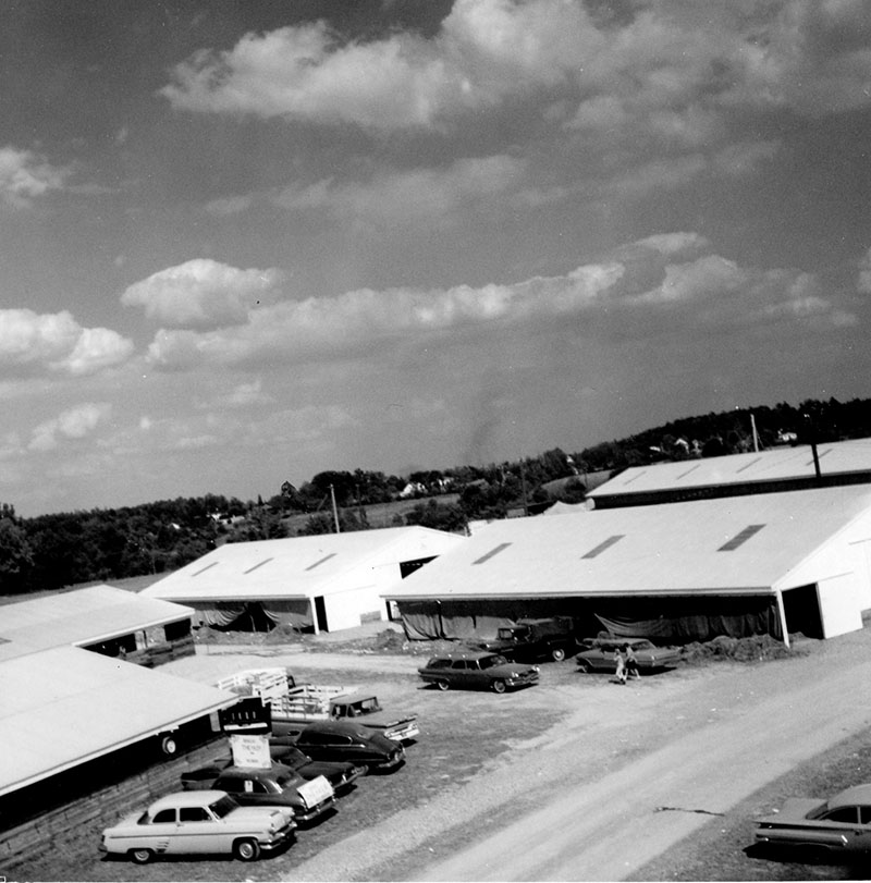 August 15, 1964
Beef Feeding Operation
Photo ID#: A476