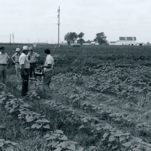 08_24_1970_John_Scherers._No_till_sunflowers_in_wheat_stubble._Soy_bean_Tour_website___Copy-1185