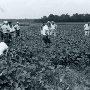 08_24_1980_No_till_bean_tour._Shelby_Area_website-5234