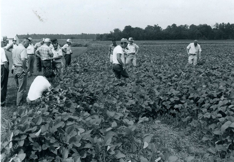 August 24, 1980
No-till bean tour
Shelby area
Photo ID#: A996