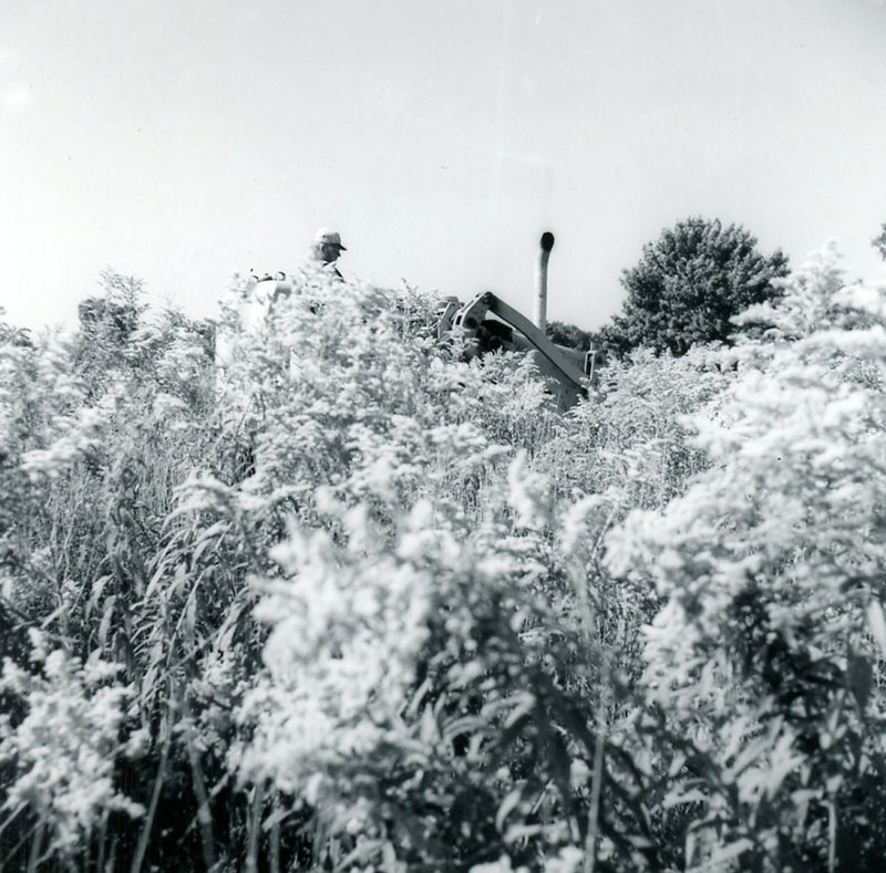 September 4, 1974
Blake Kirsch field clearing, John Cooks
Photo ID#: S377