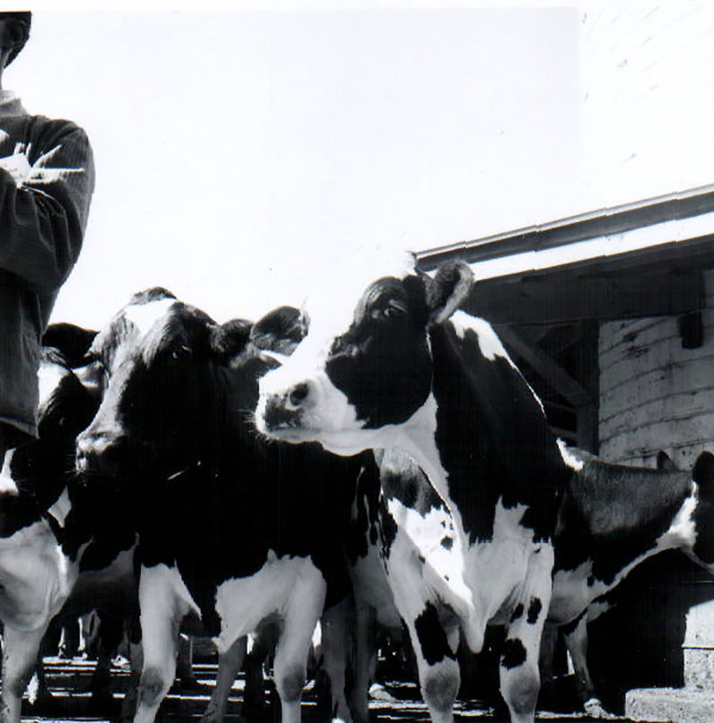 September 11, 1967
Dale Cook Farm Tour
Photo ID#: RSWCD305