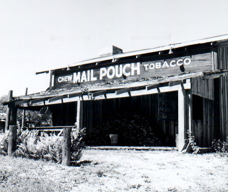 September 14, 1975
Don Green Farm Produce Stand
Photo ID#: A905