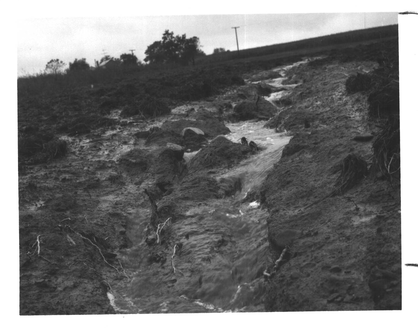 September 14, 1979
Pulver Road Poffenbaugh
Newly seeded and mulched grassed waterway washed out from 6 inch rain.
Photo ID#: L7