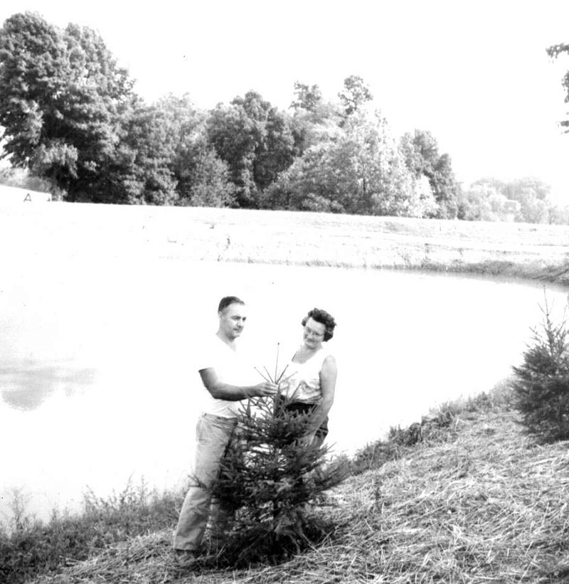 September 15, 1971
Mr. and Mrs. Robert Dorner
Photo ID#: S502