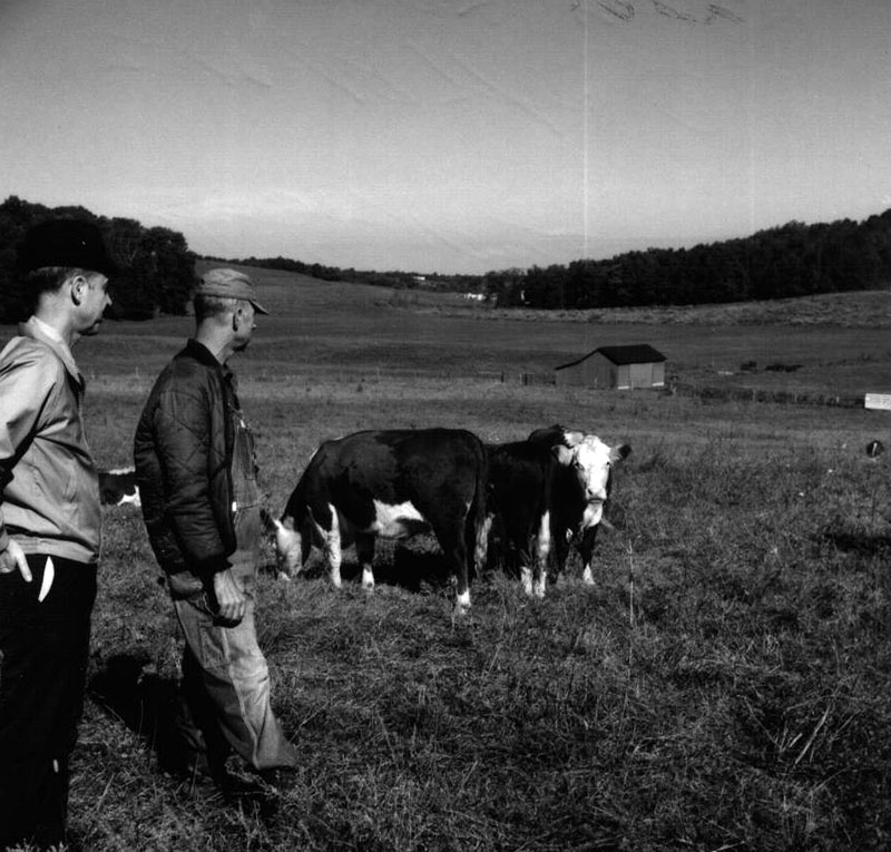 September 18, 1969
LaVern Feusne
Ralph Winters' pasture
Photo ID#: A479