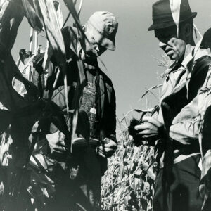 09_18_1969_Ralph_Winters__LaVern_Fuesner__SCS_Agronomist__examine_No_till_corn_at_Winter_s_farm_website___Copy-1192