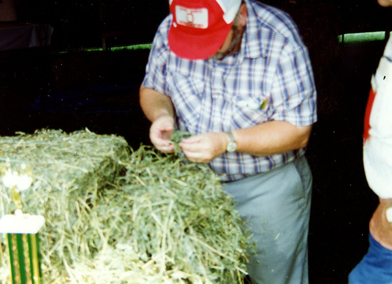 September 1992
Man examining hay
Photo ID#: E328