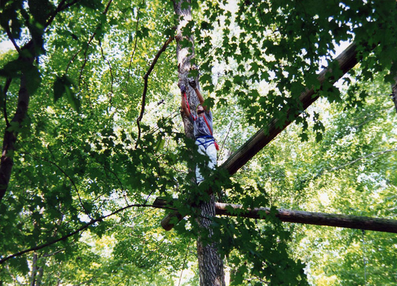 September 1992
Rural Life Center, Obstacle Course
Photo ID#: Y70