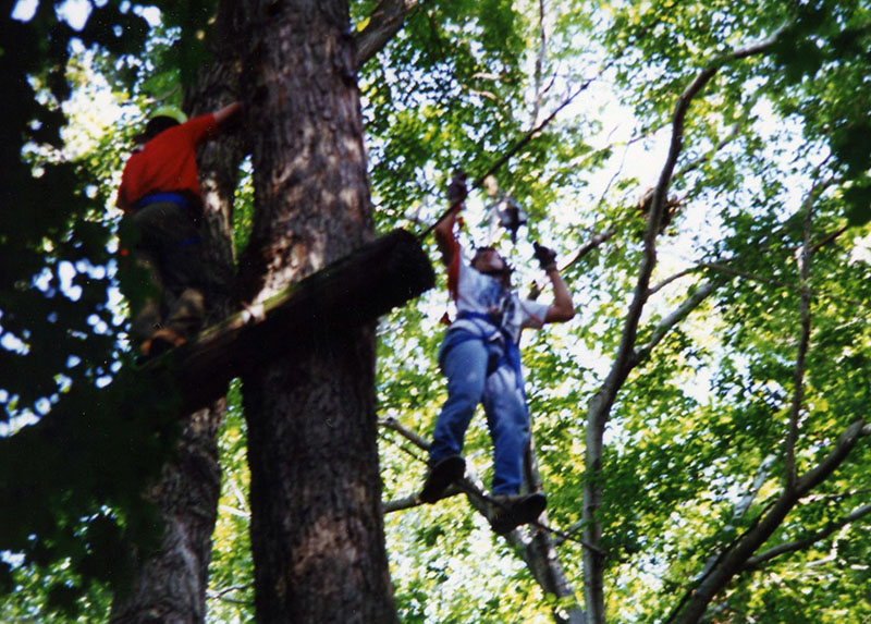 September 1992
Rural Life Center, Obstacle Course
Photo ID#: Y71