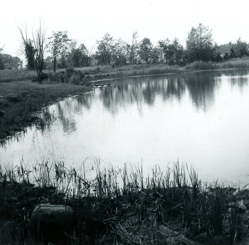 September 20, 1964
Photo ID#: PL184