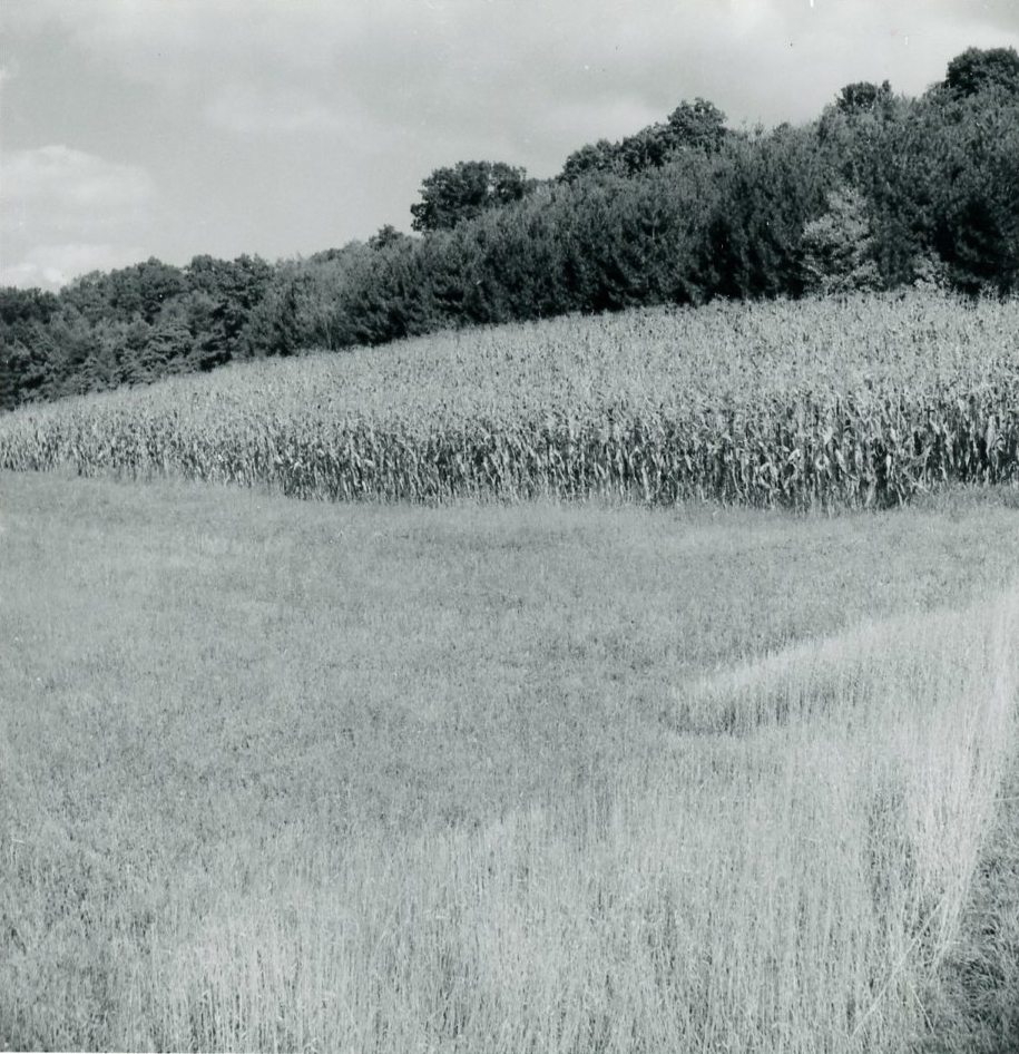 September 21, 1971
R.McConkie Farm
Photo ID#: A12