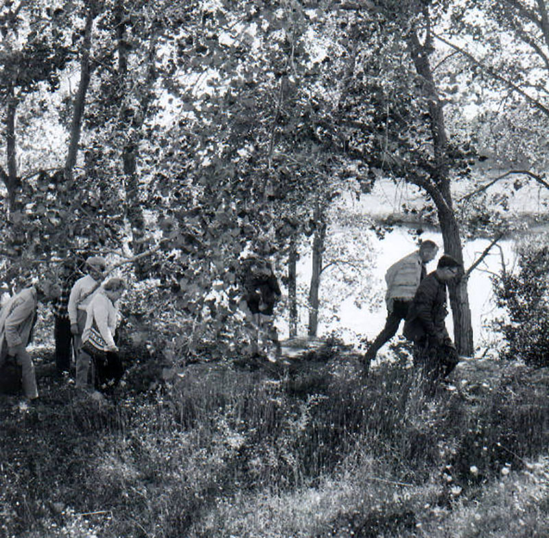 September 23, 1967
Forestry Tour
Photo ID#: RSWCD307