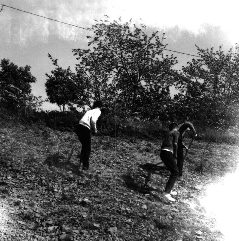 September 26, 1967
Hidden Hollow Outdoor School
Photo ID#: PL53