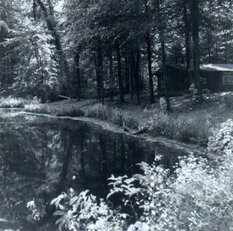 September 28, 1963
Camp Avery Hand
Photo ID#: Y139