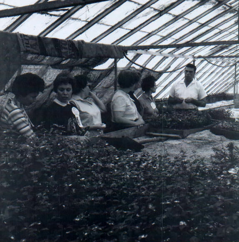 September 28, 1963
Miller Greenhouse (Possum Run Greenhouse)
Photo ID#: RSWCD189