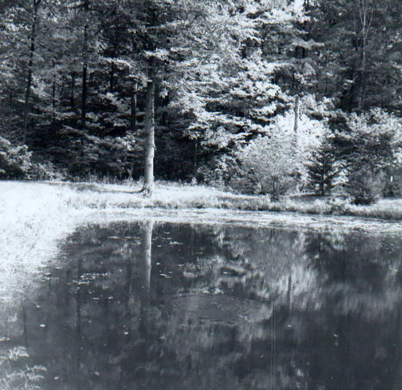 September 28, 1963
Richland Rural Life Center
Photo ID#: RSWCD190