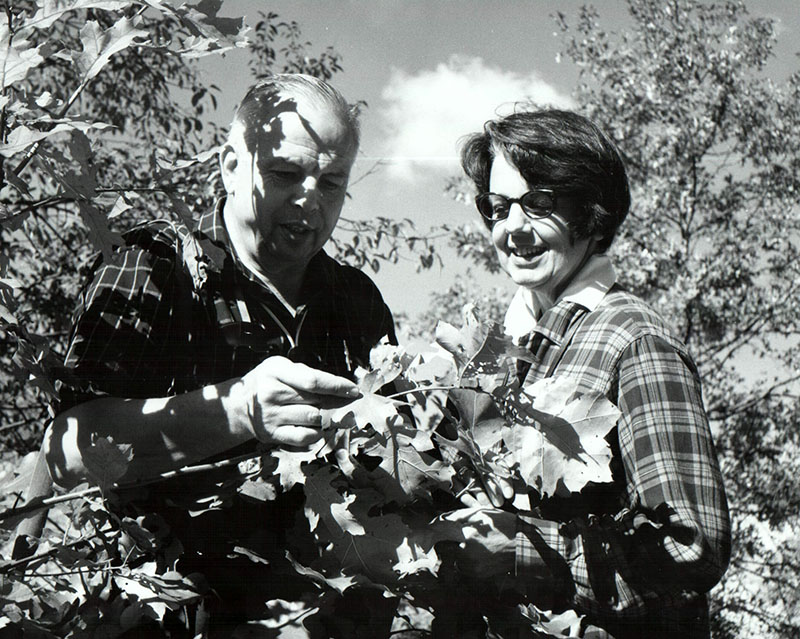 September 30, 1970
Dr. Gene Good and mrs. Tommie Good observe Oak foliage at Oak Openings State Park near Toledo 
Photo ID#: M33