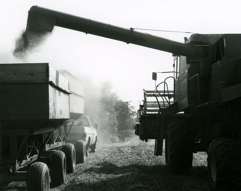 September 30, 1980
Unloading soybean harvest
H.L. Hopkins Farm
Photo ID#: A1053