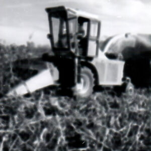 10_00_1970_Chopping_Field_Corn__1_website-3528