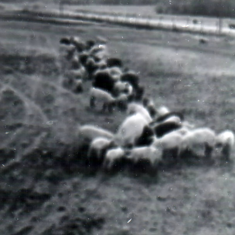 October 1970
Field Tour, Clarence Forbes
Photo ID#: RSWCD362