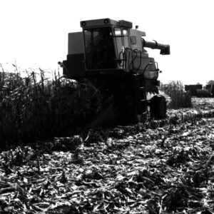 10_00_1980_H._L._Hopkins_Farms_Jackson_Township_Combining_no_till_corn_website___Copy-1194
