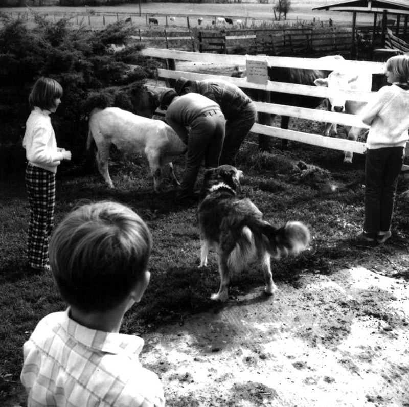 October 10, 1970
Cedar Creek Ranch Tour
Photo ID#: PL131