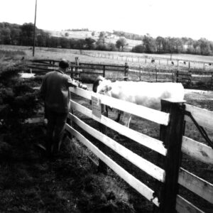 10_10_1970_Cedar_Creek_Ranch_Tour__3_website-2996