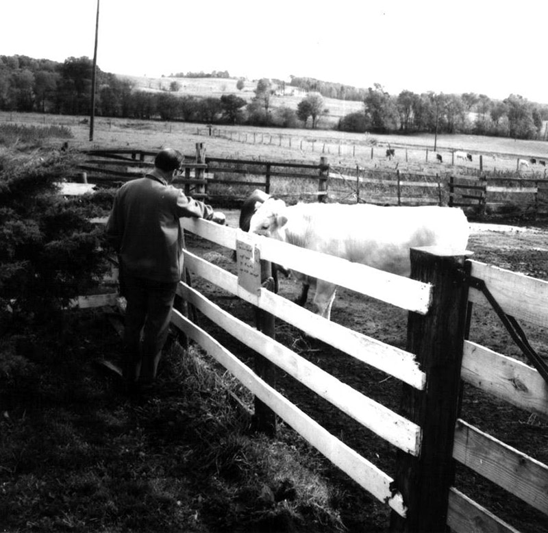 October 10, 1970
Cedar Creek Ranch Tour
Photo ID#: PL133