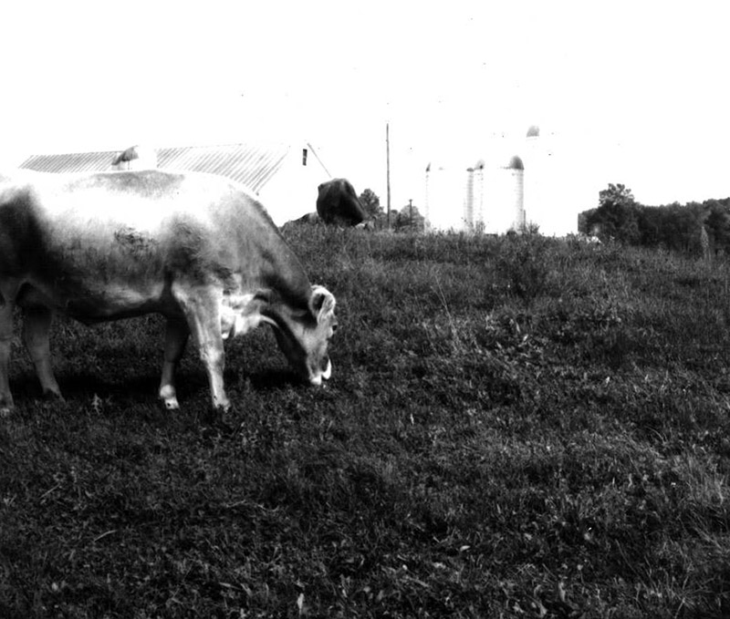 October 10, 1970
Cedar Creek Ranch Tour
Photo ID#: PL134