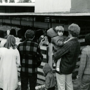 10_10_1971_Beef_Cattle_at_Schumaker_Farm_Stop__22_website-1947