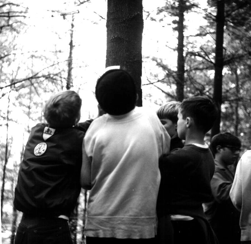 October 11, 1969
Troop 121
Timber Stand Improvement
Photo ID#: Y91