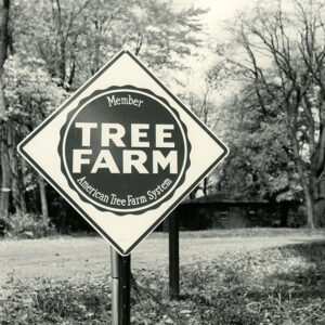 10_11_1975_Camp_Avery_Hand__Tree_Farm_sign__website-3908