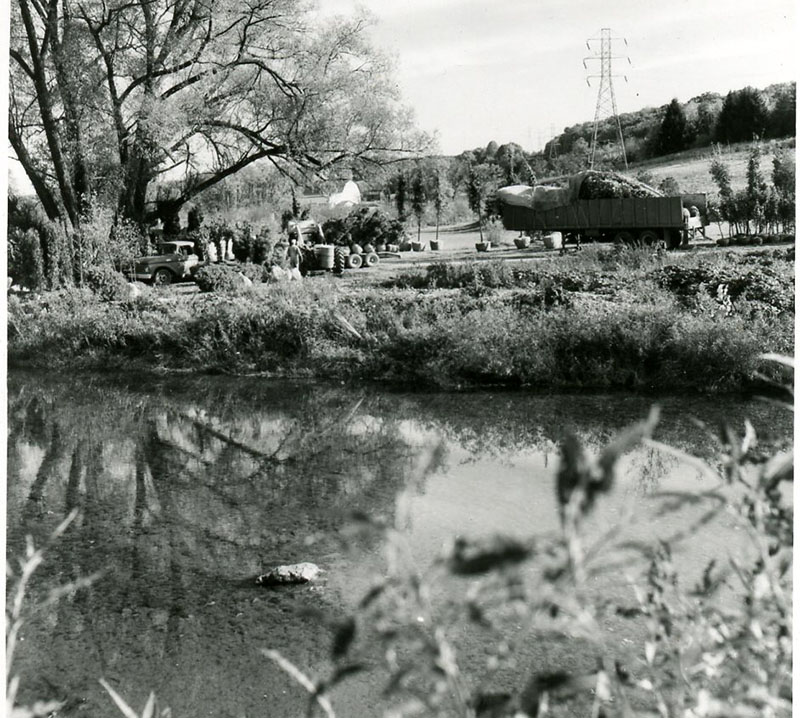 October 12, 1966
Pond at Wade and Gatton Nursery
Photo ID#: N15