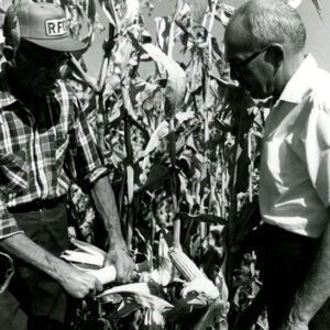 10_13_1976_John_Simmons_Robert_Muth_no_till_corn_website___Copy-1196