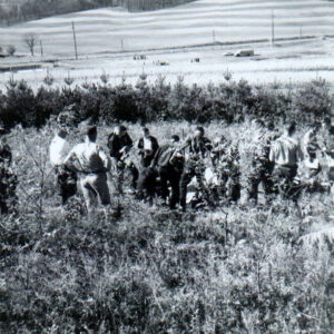 10_15_1963_12th_County_Land_Judging_Contest_R_McConkie_Farm_website-3358
