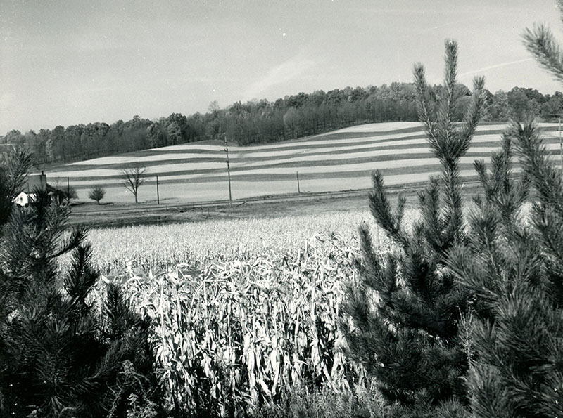 October 15, 1963
R. McConkie Farm: Contour Strips and Wildlife Area
Photo ID#: A93