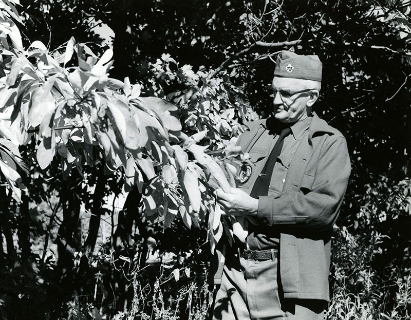 October 15, 1972
DIY Tour
William Halsey, Scout Master of Troop 303
Camp Avery Hand
Photo ID#: Y141