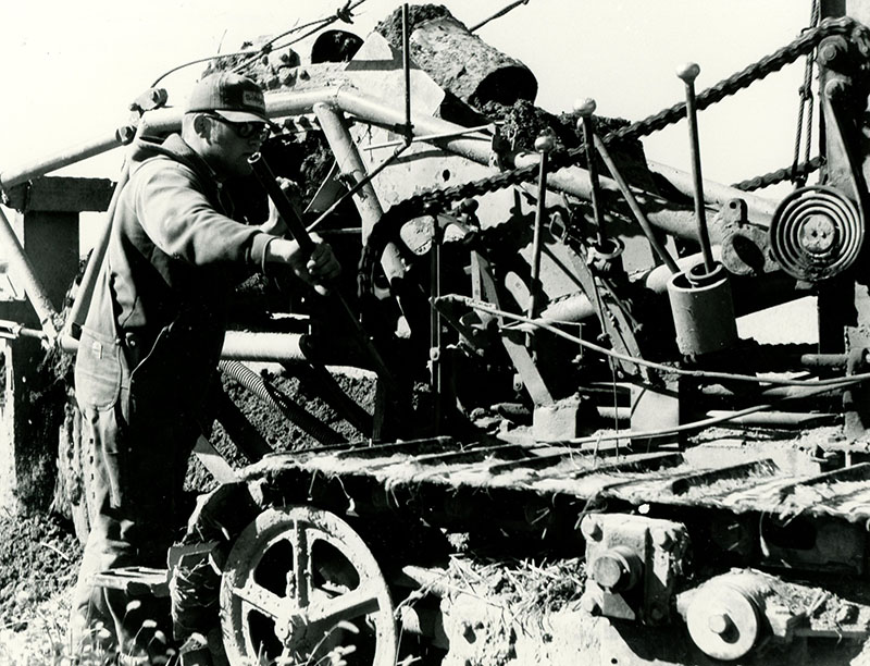 October 17, 1974
Roger Company shown as he installed tile at the John Metzger Farm near Shelby
Tile drainage is especially needed in northern Richland County
Photo ID#: A760