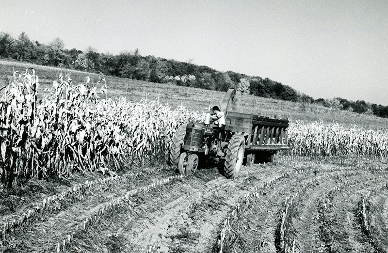 October 18, 1966
Corn harvesting on the Jack Gatton Farm
Photo ID#: A94