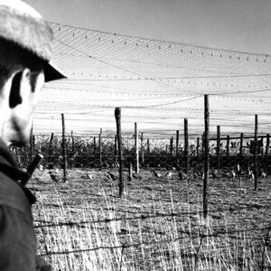 10_21_0966_Maurice_Cooke_with_ringneck_pheasants_raised_for_sale_to_shooting_preserve_farms_website-4533